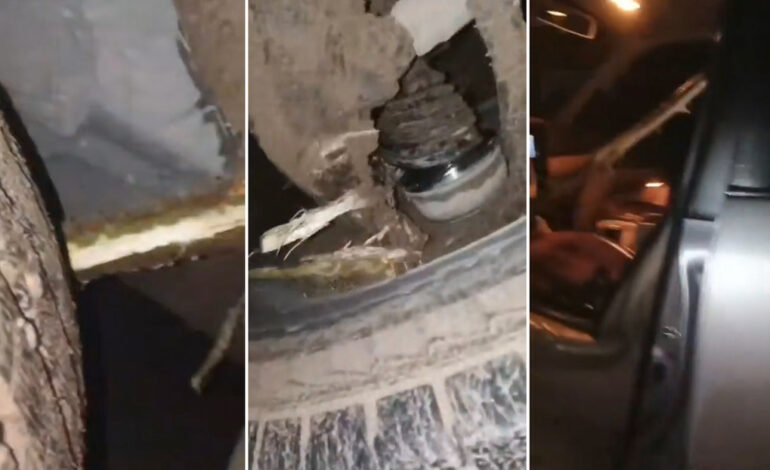  ‘Destino final’: Tronco atraviesa un todoterreno y casi mata al conductor