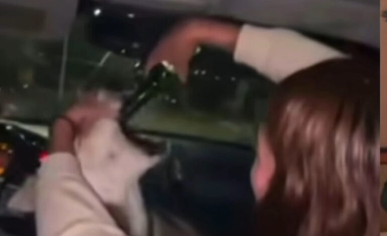  Alamo de Zazu va contra responsables de alcoholizar a perrito en municipio de Madera