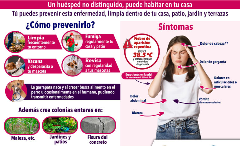  Van 92 casos de rickettsiosis en la entidad, 44 defunciones