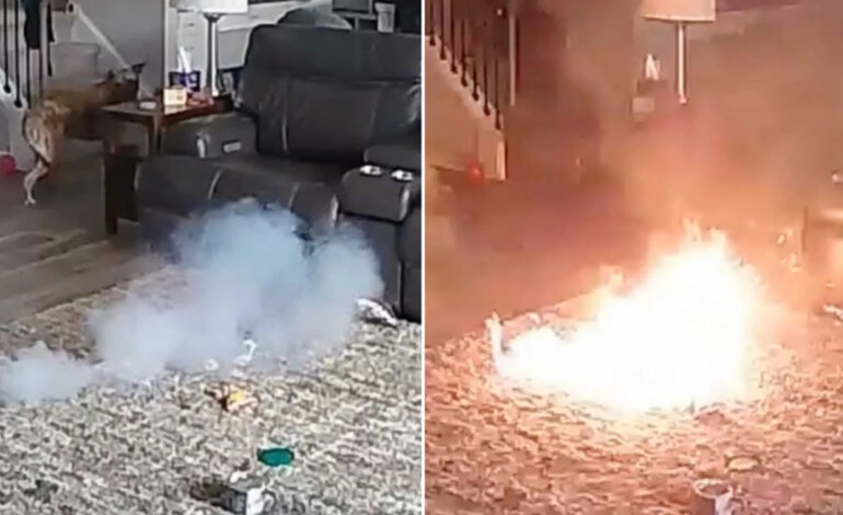  Un perro muerde una batería de litio y provoca un incendio