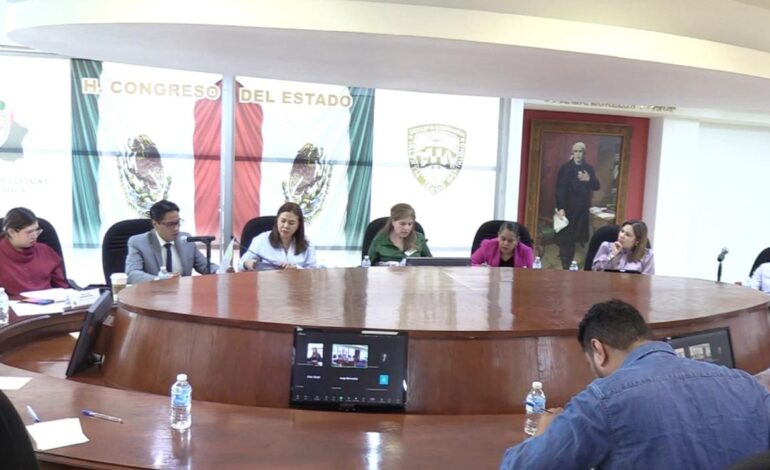  Presenta CEAVE al Congreso, propuesta para armonizar leyes de protección a Niñas, Niños y Adolescentes