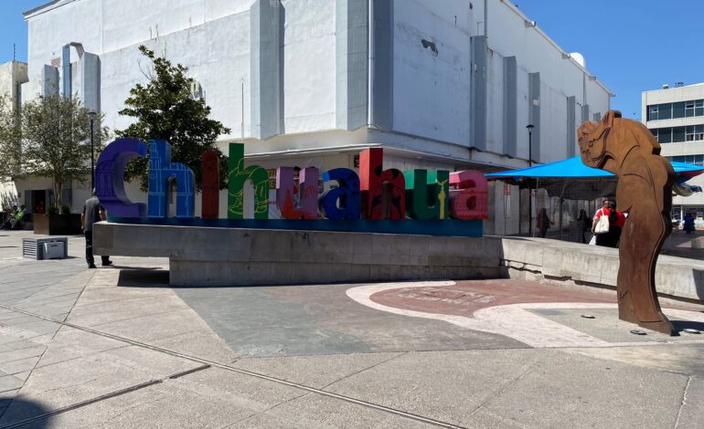  Registra estado 24.8% de informalidad comercial