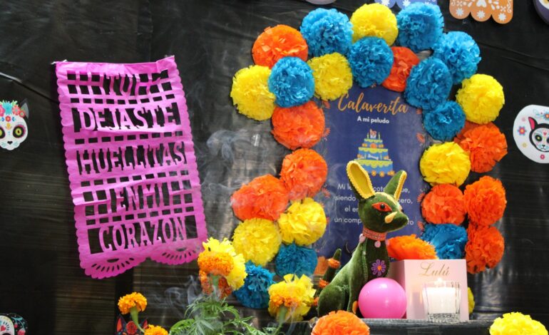  Recuerda DSPM a los compañeros de cuatro patas que dejaron huella