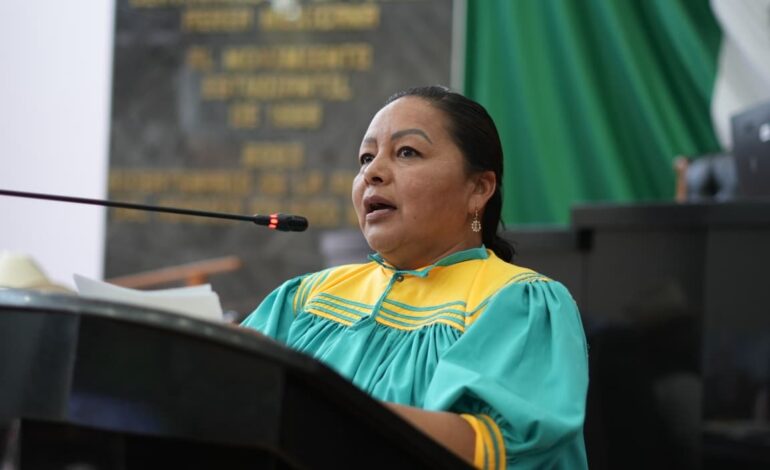  Solicita diputada Edith Palma prisión a quien imprudencialmente genere un incendio forestal