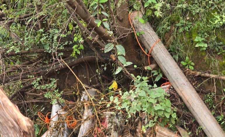  Inhabilitan SSPE y Defensa 33 artefactos explosivos en Moris
