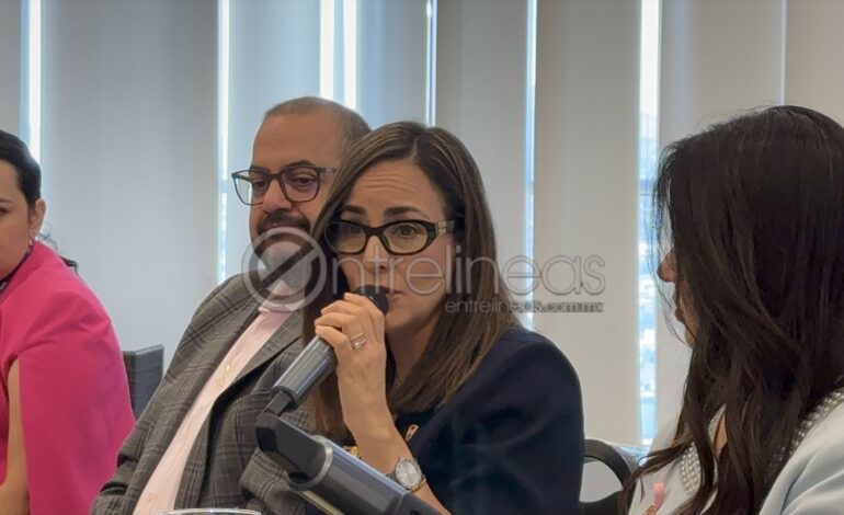 Reforma a Ley de Amparo reduce garantías, consulta debió ser nacional y no al vapor: Marcela Herrera