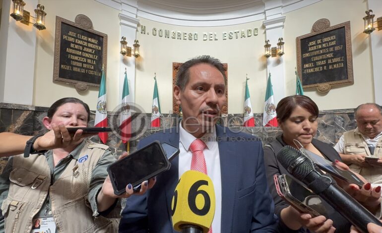 Por concluir licitación para placas vehiculares: Hacienda