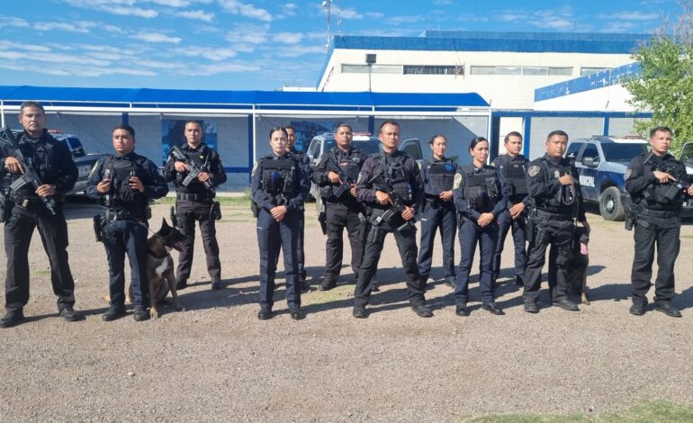  Perros policía de la DSPM, aliados en la prevención del delito