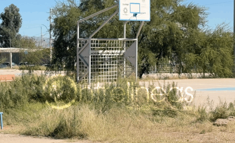  Denuncian vecinos de Valle Dorado falta de atención en espacios deportivos