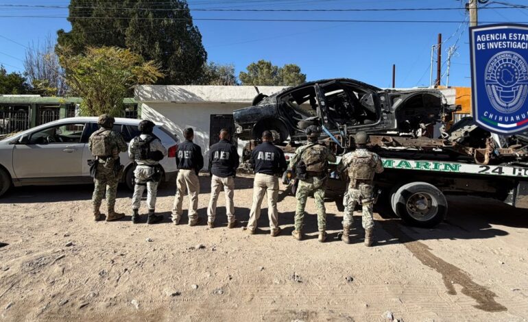  Durante cateo en El Sauzal, asegura AEI droga, vehículos con reporte de robo y autopartes
