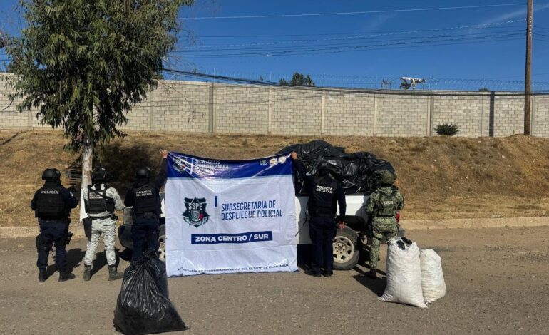  Aseguran más de una tonelada de marihuana y un vehículo con reporte de robo en Balleza