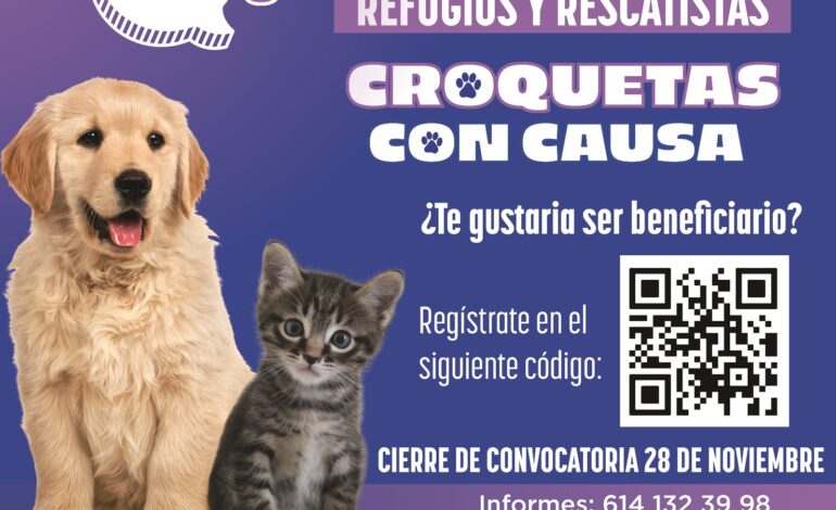  Lanzan convocatoria para donar croquetas a refugios y rescatistas
