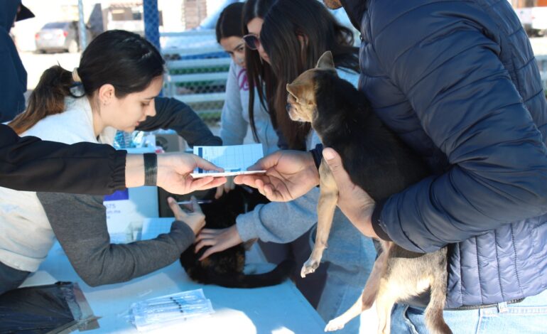 Brinda Municipio servicios gratuitos para animales de compañía en Minerales