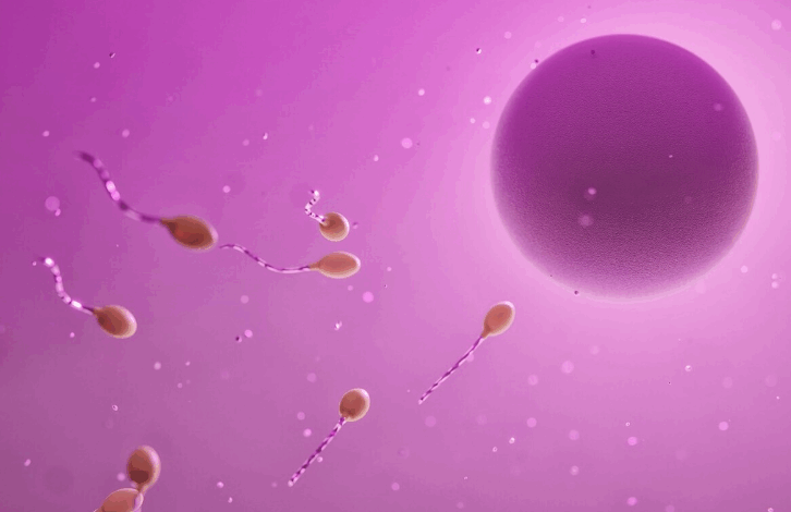  No era un milagro, era un algoritmo: así una IA hizo posible un embarazo imposible