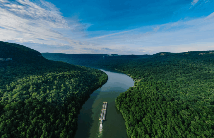  Qué es el medio ambiente, cómo funciona y por qué es clave para nuestra supervivencia