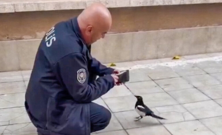  Viral: urraca le “roba” un billete de 200 liras a un policía turco