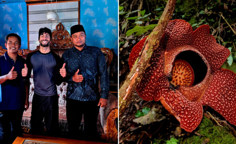  Encuentran la flor más grande del mundo: el ‘hongo cara de tigre’