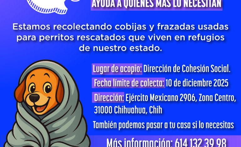  Inicia Desarrollo Humano campaña de recolección de cobijas y frazadas para perritos rescatados