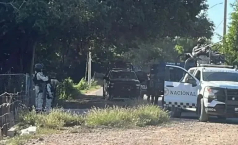  Abaten a 13 sujetos armados tras agresión a agentes federales en Guasave, Sinaloa