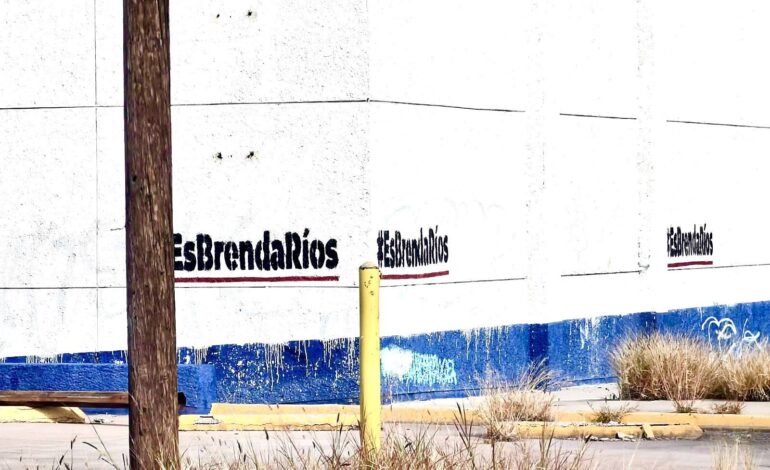  “Delito doble”: Fermín Ordóñez denuncia propaganda de Brenda Ríos en propiedad federal