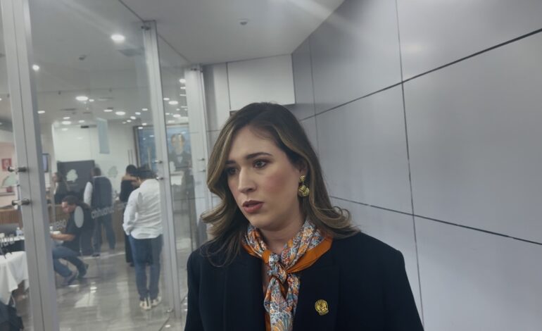  En MC, más que criticar, estamos dispuestos a proponer, dice Alma Portillo ante reforma electoral
