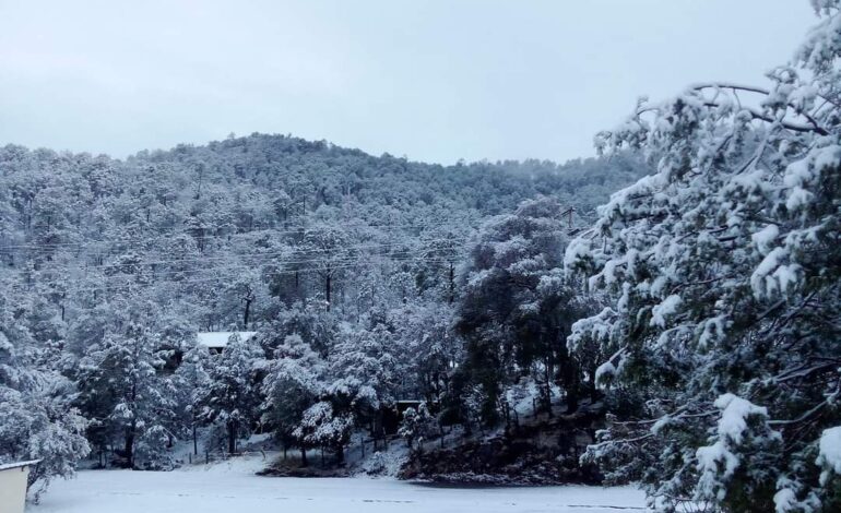  Prevén de 6 a 10 tormentas invernales para temporada 2025-2026