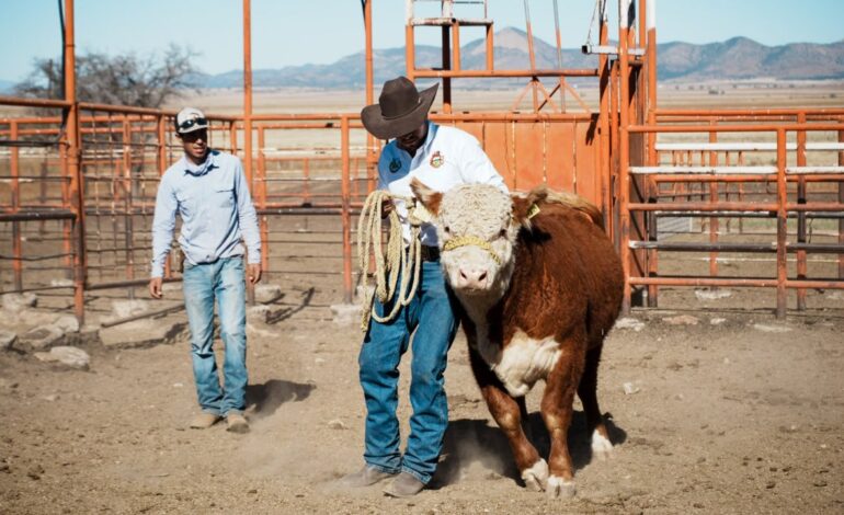 Realiza la UACH I Jornada de Transferencia de Tecnología en Ganadería Sostenible en el Rancho Teseachi