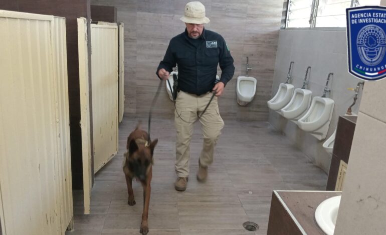  Interviene GOECHI para propiciar entornos escolares sanos y seguros en la Secundaria Federal 2