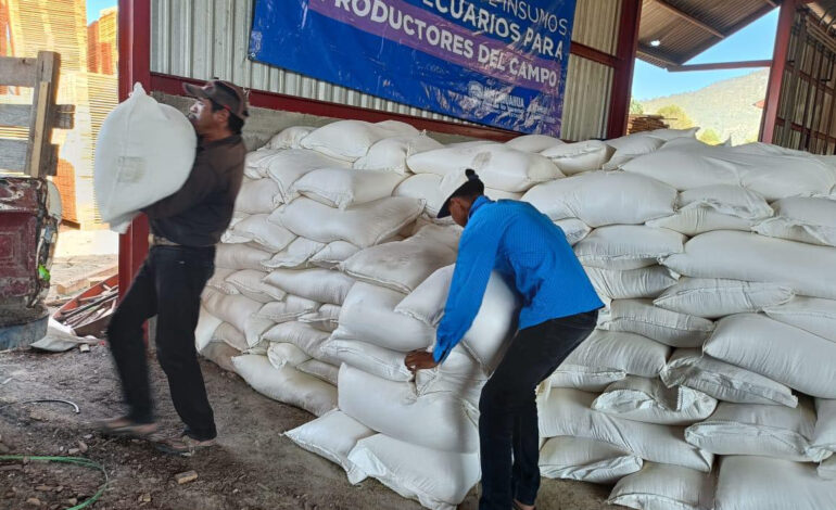  Invierte Estado más de 300 mdp en 2025 en estrategia integral de apoyo a productores