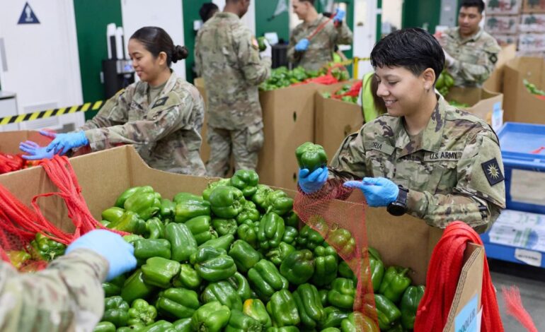  Gobierno de EE.UU. podría reactivar subsidios para alimentos esta semana