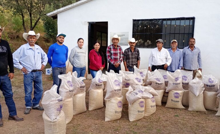  Distribuye Gobierno del Estado 5.6 toneladas de maíz y frijol en Guazapares