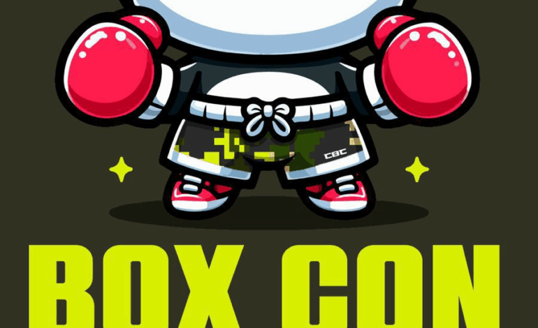  Invitan a función de Box con causa; hoy en el Polideportivo sur