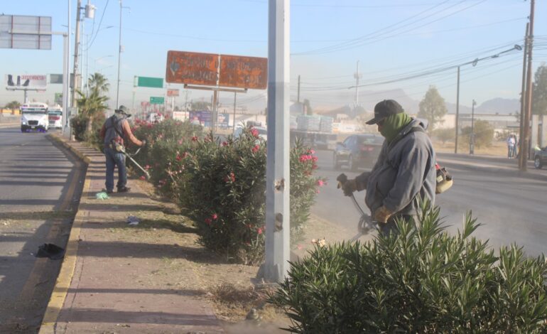  Atendió Gobierno Municipal 305 mil m2 de calles y avenidas al sur de la ciudad en noviembre