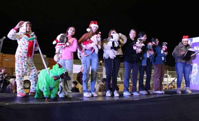  Perros y gatos encuentran familia en evento “Navidad de Pelos” del Gobierno Municipal