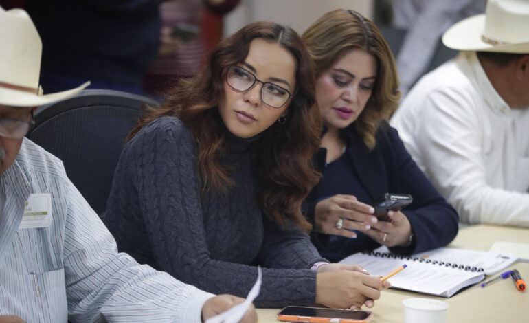  Aclara diputada federal del PT su voto contra Ley de Aguas