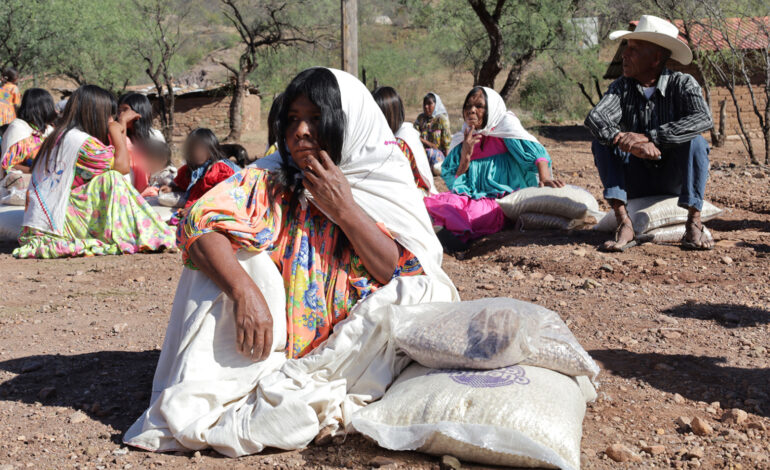  Impulsa SPyCI autosuficiencia alimentaria de pueblos originarios