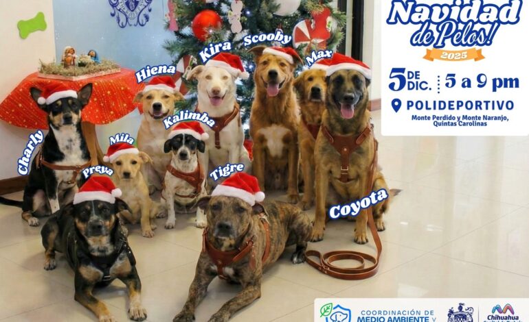  Invita Municipio a vivir una “Navidad de Pelos” y brindar un hogar a perritos rescatados