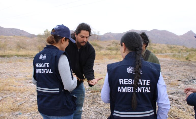  Invita Municipio a reforestar el Río Sacramento como parte de la etapa 4 de este proyecto