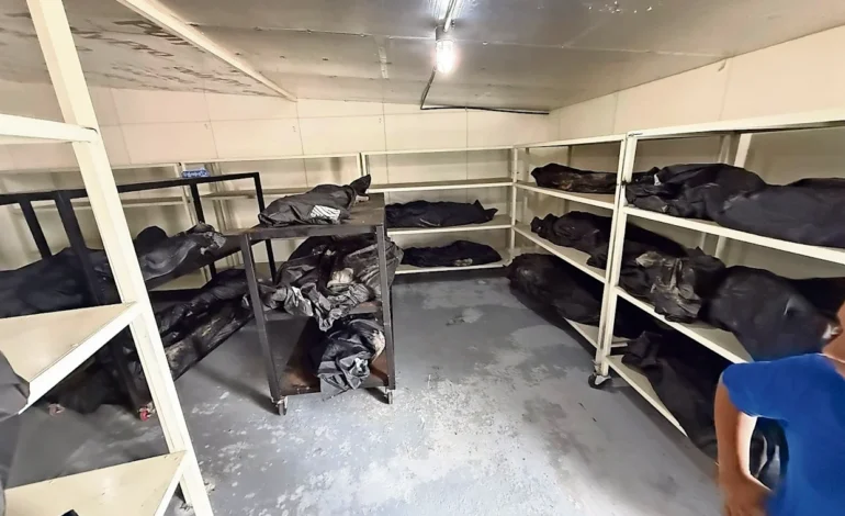  Crematorio Plenitud: envían 110 muestras al Instituto Nacional de Medicina Genómica