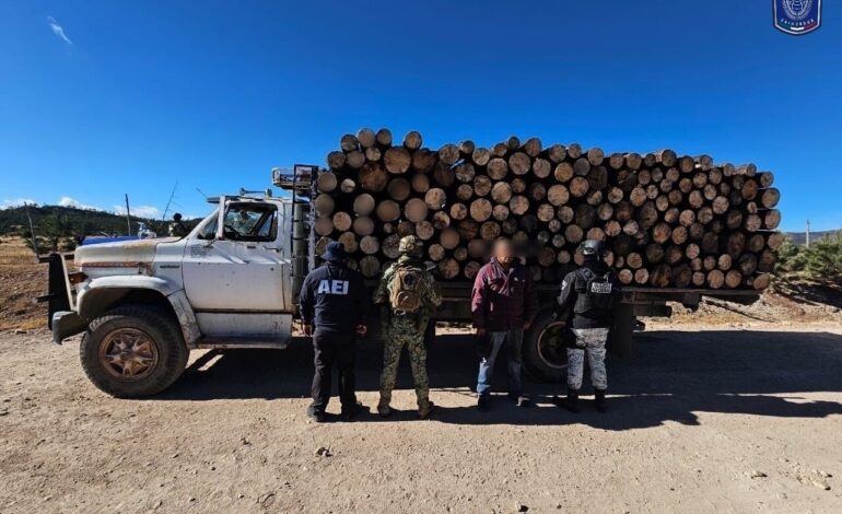  Detienen a chofer de camión con carga de madera de dudosa procedencia