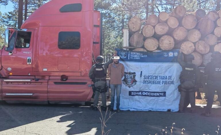  Asegura SSPE madera ilegal tras operativo instruido por Secretario Gilberto Loya en Guachochi