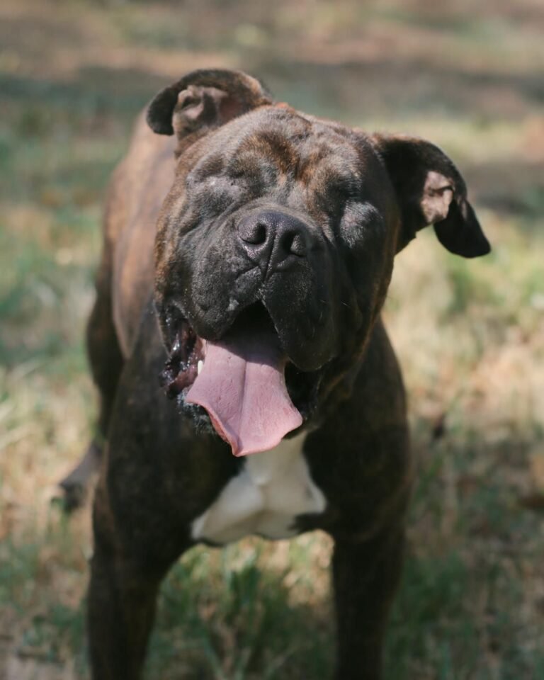 Chocorrol, la vida le arrebató sus ojos, pero le dejó un gran corazón