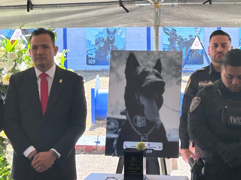 Misión cumplida, Vico, seremos implacables para un castigo ejemplar: Bonilla