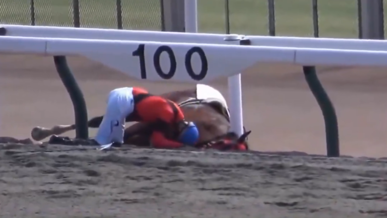 Jinete japonés se queda abrazando a su caballo que cayó de un golpe de calor en plena pista