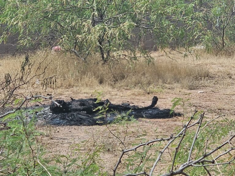 Aparece cuerpo calcinado en predio baldío de la colonia Granjas Cerro Grande