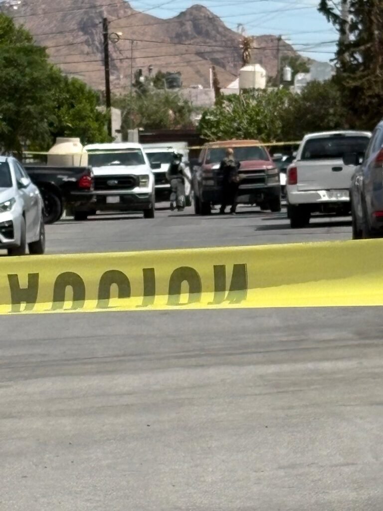 Hallan restos de una mujer al interior de vivienda en colonia Dale