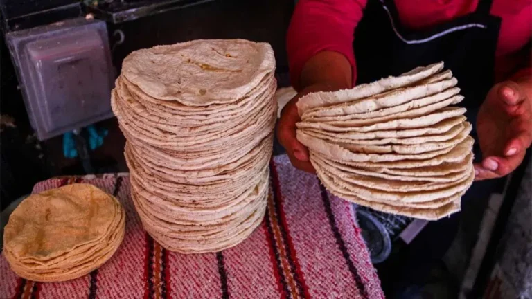 Aumento al precio de la tortilla es inminente, productores acordarán el precio