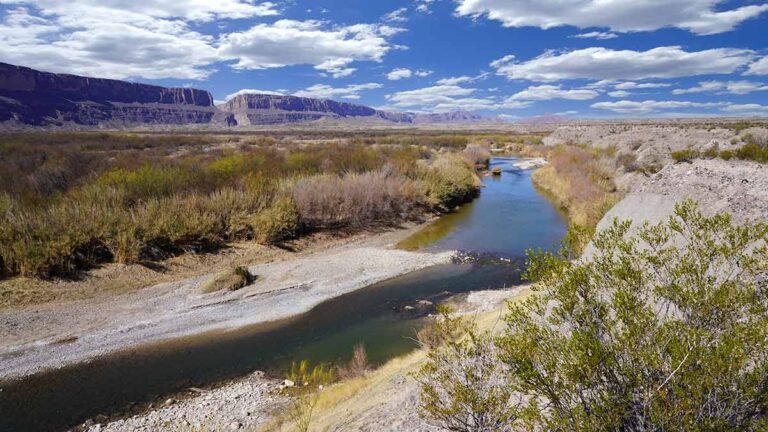 Legislador de Texas impulsa sanciones y aranceles contra México; lo acusa de incumplir el Tratado de Aguas