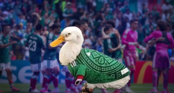 Patito mundialista conquista redes y así reaccionó la Selección Mexicana