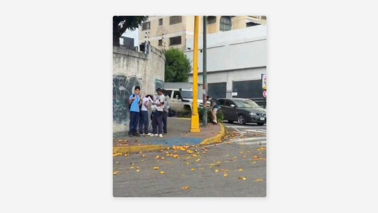 Fuertes vientos provocan “lluvia de mangos” en Caracas